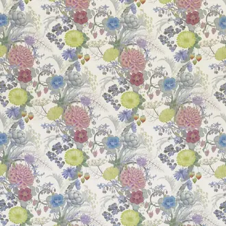 Carlotta F7177-01