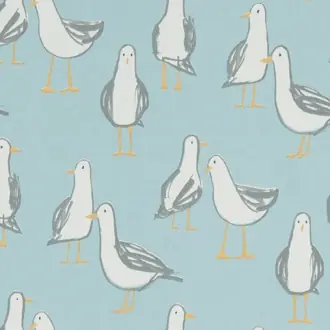 Laridae F1192-01