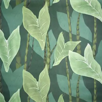 Monstera FP092002
