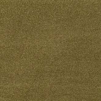 Rock Fern K5243-03