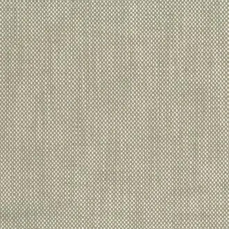 Snicket NCF4613-04