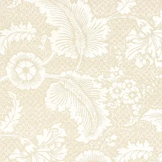 Piccadilly Plume