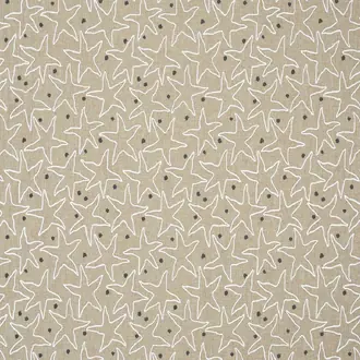 Starfish Beach 2322-01