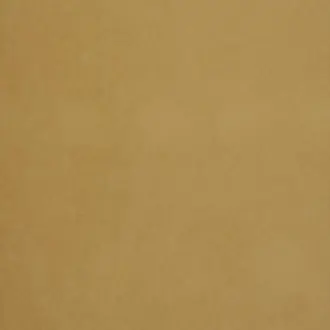 Arezzo Mustard