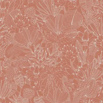 Bellis ROM104