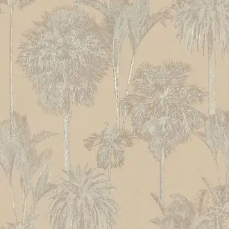 Oasis 317325