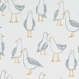 Laridae F1192-02