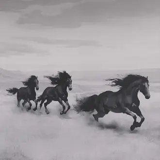 Untamed 10643