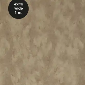 Skin 300581