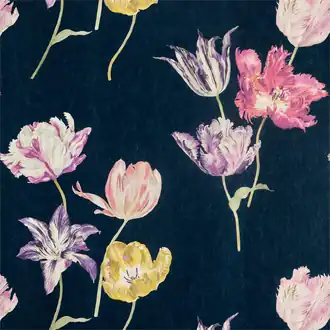 Tulipomania 216667