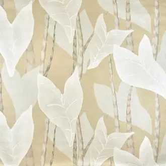 Monstera FP092001