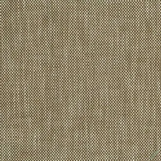 Snicket NCF4613-05
