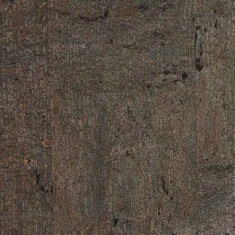 Scorched Ebonized Olive 2595
