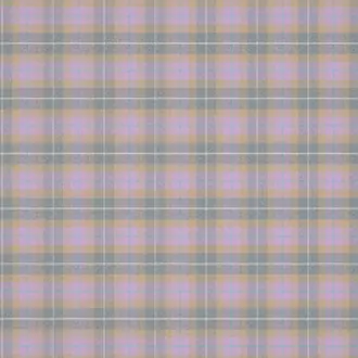 Brunswick Check LF1565FR-004