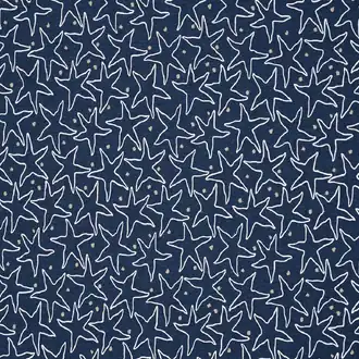 Starfish Beach 2322-02