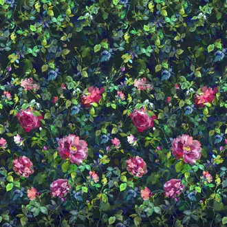 Gertrude Rose PDG1154-01