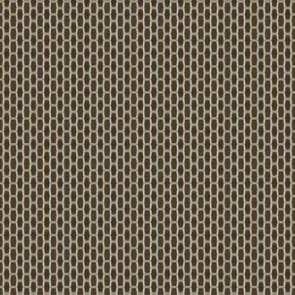 Acebuche LCT-1165-005