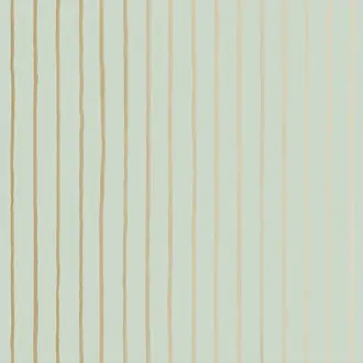 College Stripe 110-7036