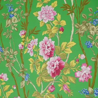 Summer Peony JT013892-002