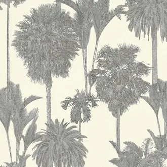 Oasis 317326