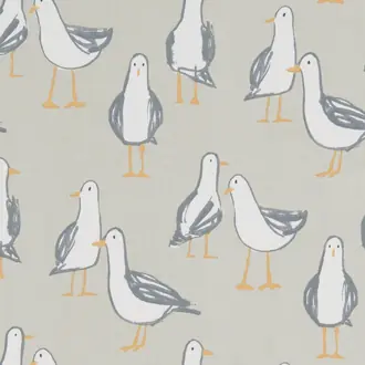 Laridae F1192-03