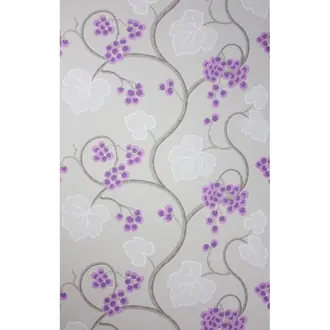 Shiraz W6494-05