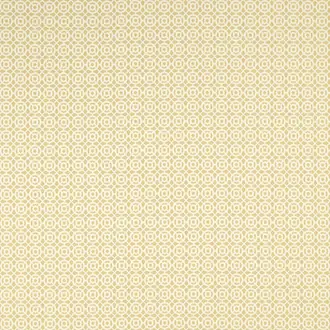 Maze Ochre