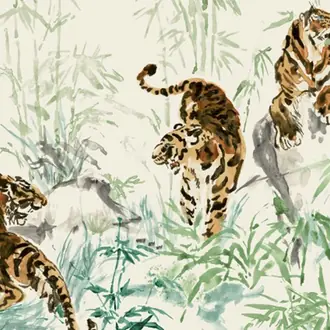 Tiger Fight WR1029-02
