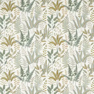 Bracken F1654/02
