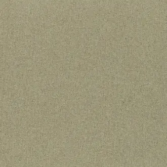 Lunar 10 Sage-Reverse