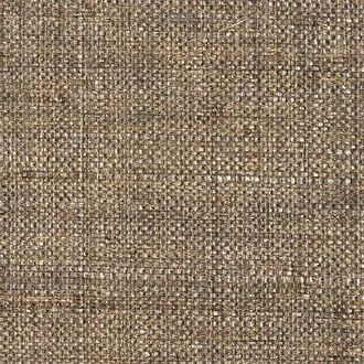 Max's Metallic Raffia Bronze 3545
