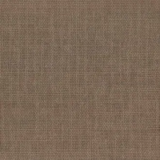 Glimmering Grass 37107
