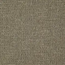 Octans 16 Shingle