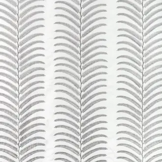 Plantae 36344-11