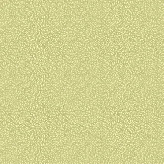 Tansy BW45116-1