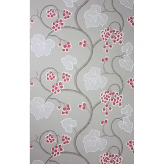 Shiraz W6494-07