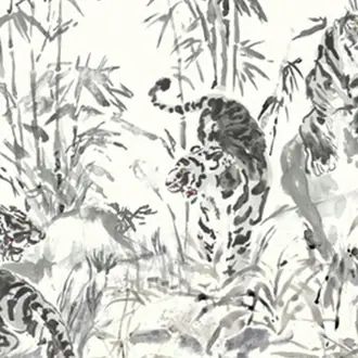 Tiger Fight WR1030-01