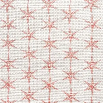 Anise Pink JTFBAN03