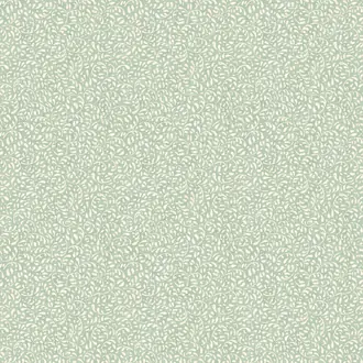 Tansy BW45116-2