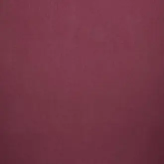 Canvas Raspberry