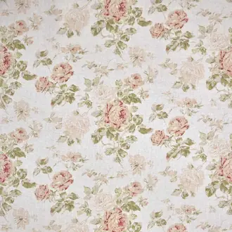 Lady Rose T0064001