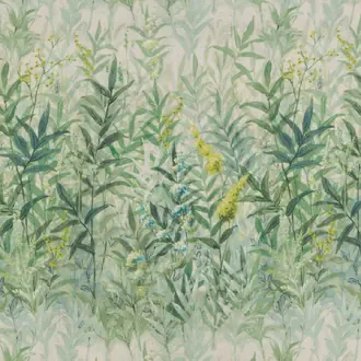 Wildflower Fields Eden