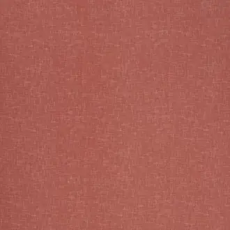 Accent Coral
