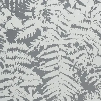 Fern Clearing