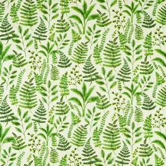Bracken F1653/01