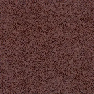 Langley F6981-12