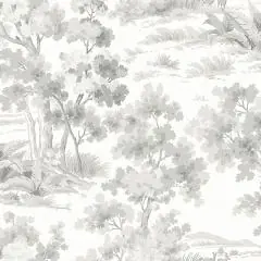 Countryside Morning 7677