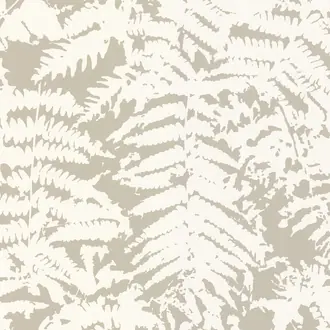 Fern Gilver