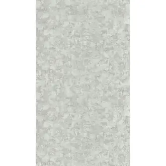 Ecorce OXY 2916 01 17