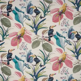Parakeet 2816-411